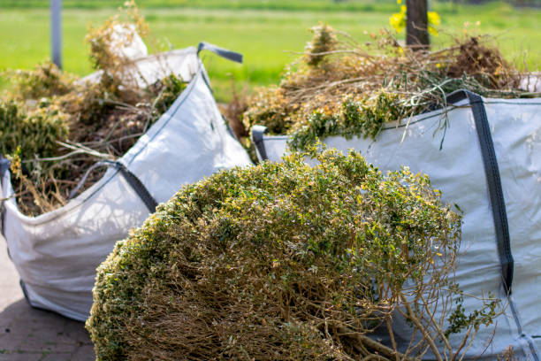 Trash Removal Near Me in St Bonifacius, MN